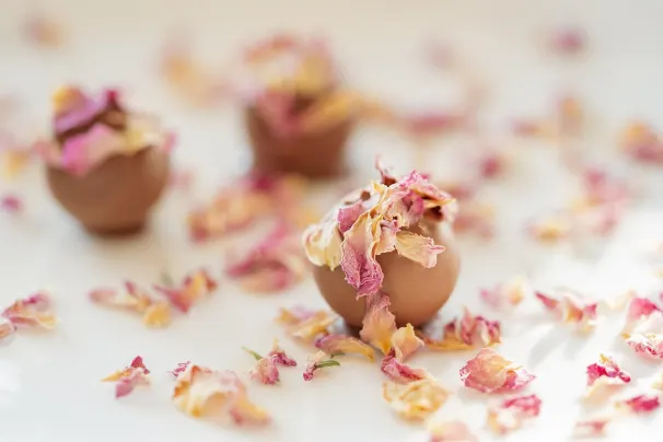 Kasino Lotus Asia Apl Android/iOS